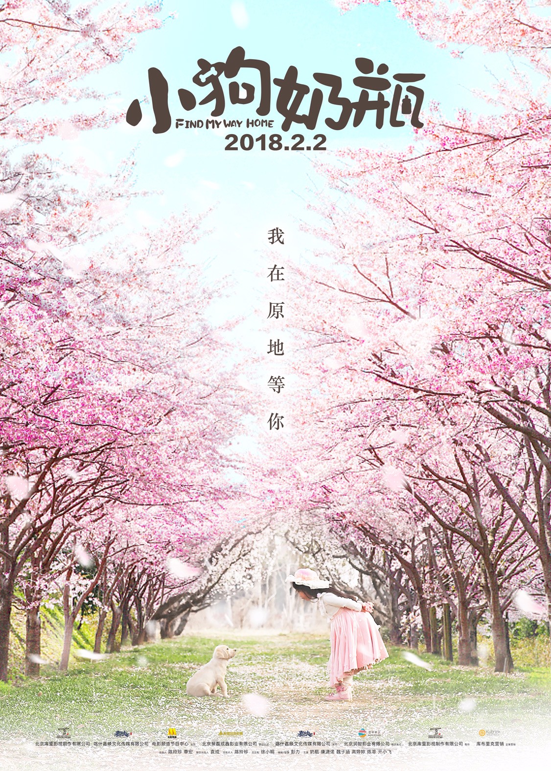 1517542504866060.jpg 初見(jiàn)版海報.jpg